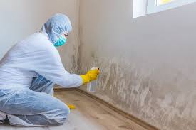 Best Asbestos and Lead Testing During Mold Inspection  in West Hammond, NM